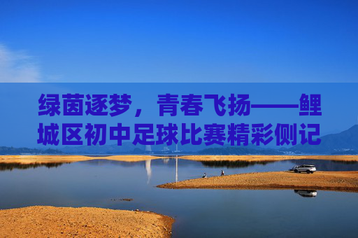 绿茵逐梦，青春飞扬——鲤城区初中足球比赛精彩侧记