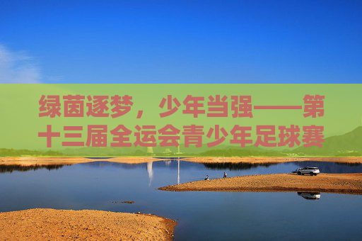 绿茵逐梦，少年当强——第十三届全运会青少年足球赛侧记