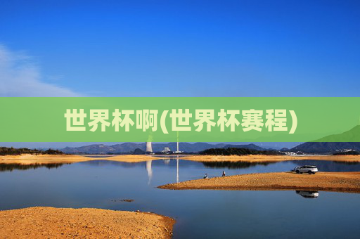 世界杯啊(世界杯赛程)