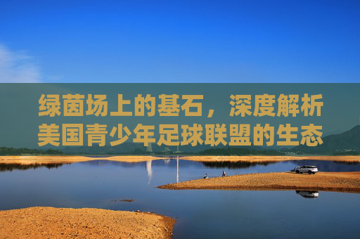绿茵场上的基石，深度解析美国青少年足球联盟的生态与文化