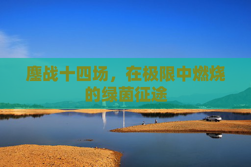 鏖战十四场，在极限中燃烧的绿茵征途