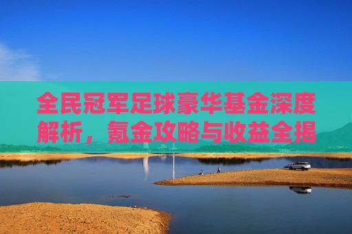 全民冠军足球豪华基金深度解析,氪金攻略与收益全揭秘