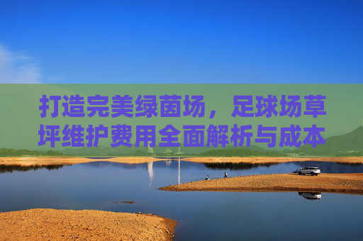 打造完美绿茵场,足球场草坪维护费用全面解析与成本控制指南