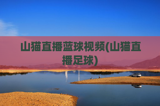 山猫直播蓝球视频(山猫直播足球)