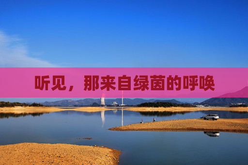 听见,那来自绿茵的呼唤