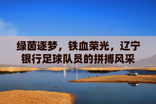绿茵逐梦,铁血荣光,辽宁银行足球队员的拼搏风采