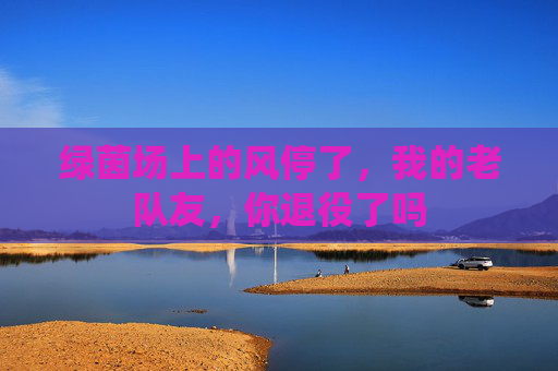 绿茵场上的风停了,我的老队友,你退役了吗