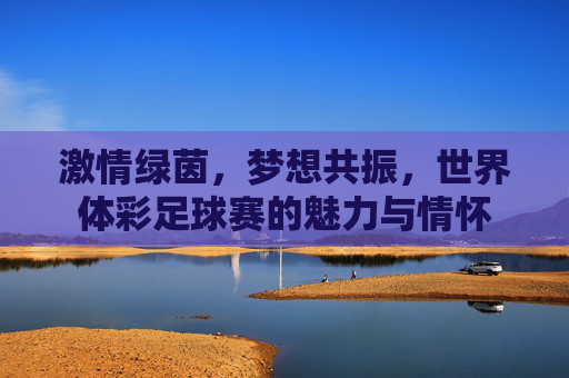 激情绿茵,梦想共振,世界体彩足球赛的魅力与情怀