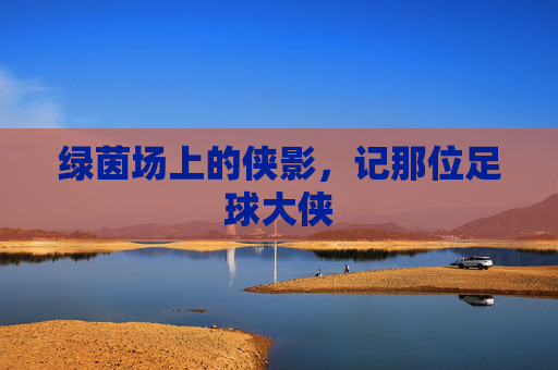 绿茵场上的侠影,记那位足球大侠