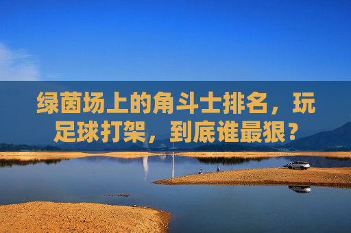 绿茵场上的角斗士排名,玩足球打架,到底谁最狠?