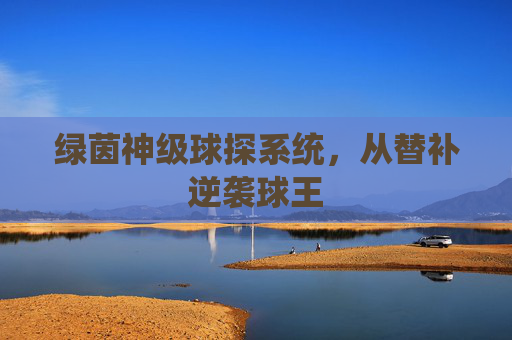 绿茵神级球探系统,从替补逆袭球王