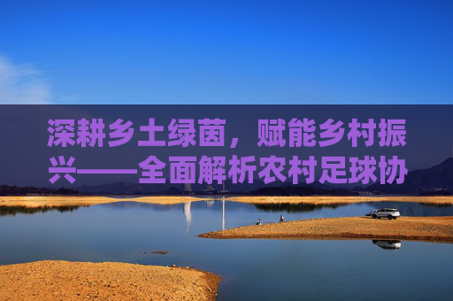 深耕乡土绿茵,赋能乡村振兴——全面解析农村足球协会的业务范围
