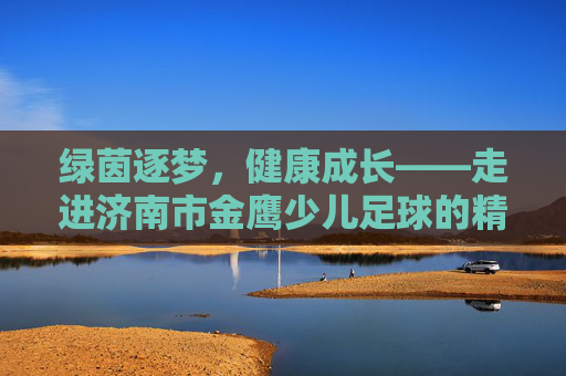绿茵逐梦,健康成长——走进济南市金鹰少儿足球的精彩世界