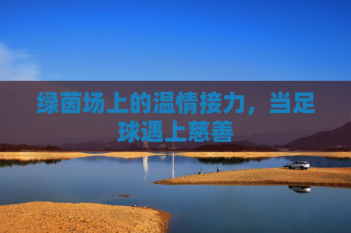绿茵场上的温情接力,当足球遇上慈善