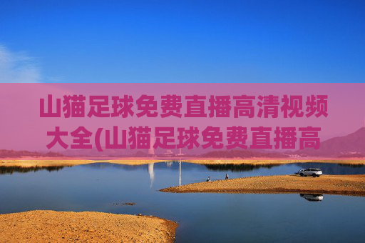 山猫足球免费直播高清视频大全(山猫足球免费直播高清视频大全新浪蓝球竞彩直播)