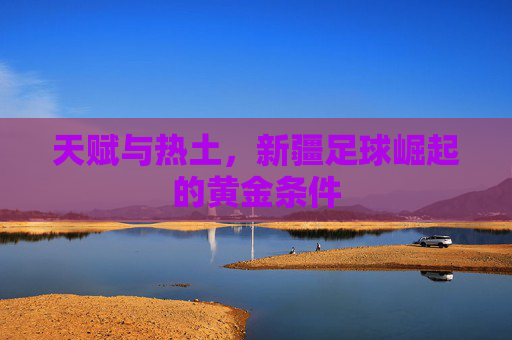 天赋与热土,新疆足球崛起的黄金条件