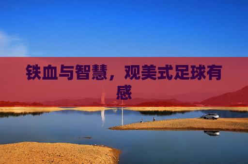 铁血与智慧,观美式足球有感