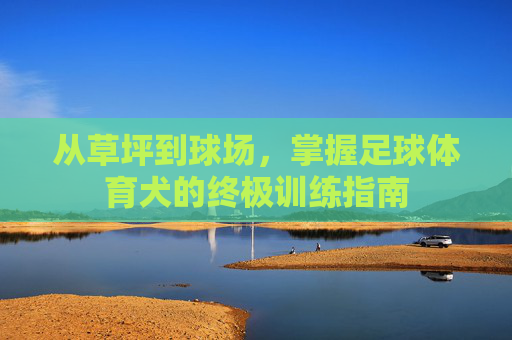 从草坪到球场，掌握足球体育犬的终极训练指南