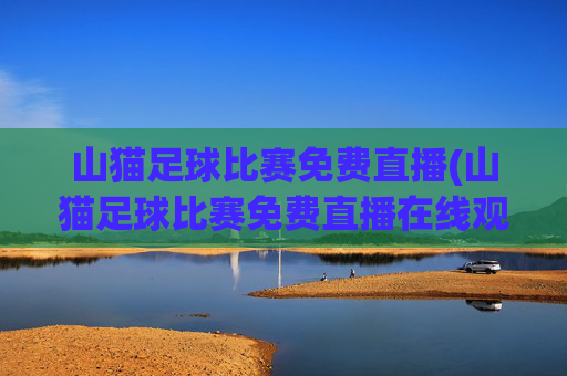 山猫足球比赛免费直播(山猫足球比赛免费直播在线观看)