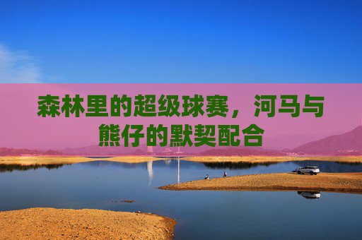 森林里的超级球赛,河马与熊仔的默契配合
