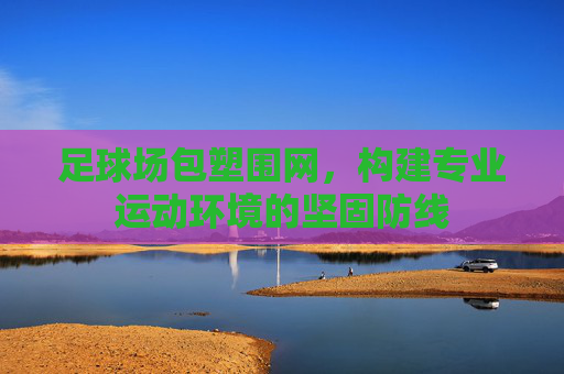 足球场包塑围网,构建专业运动环境的坚固防线