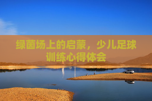 绿茵场上的启蒙,少儿足球训练心得体会