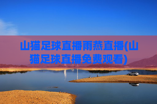 山猫足球直播雨燕直播(山猫足球直播免费观看)