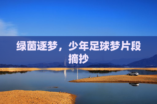绿茵逐梦，少年足球梦片段摘抄