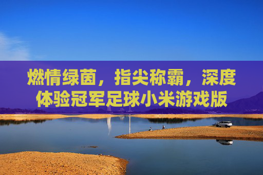 燃情绿茵,指尖称霸,深度体验冠军足球小米游戏版