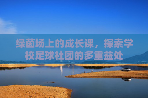 绿茵场上的成长课,探索学校足球社团的多重益处