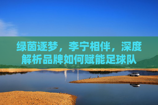 绿茵逐梦，李宁相伴，深度解析品牌如何赋能足球队