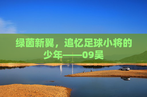 绿茵新翼，追忆足球小将的少年——09吴