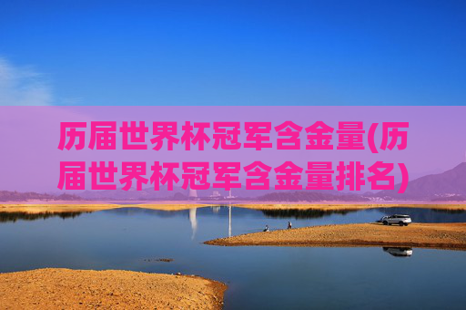 历届世界杯冠军含金量(历届世界杯冠军含金量排名)