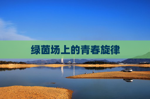 绿茵场上的青春旋律