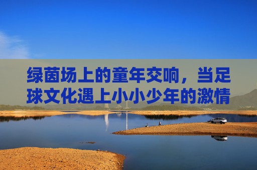 绿茵场上的童年交响，当足球文化遇上小小少年的激情表演