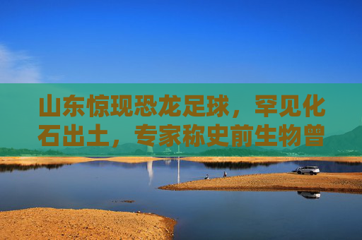 山东惊现恐龙足球,罕见化石出土,专家称史前生物曾踢球?