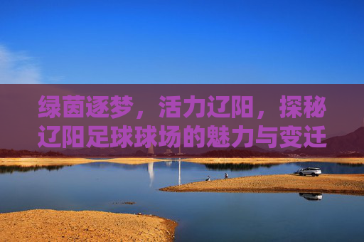 绿茵逐梦，活力辽阳，探秘辽阳足球球场的魅力与变迁