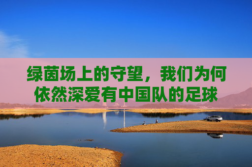 绿茵场上的守望，我们为何依然深爱有中国队的足球