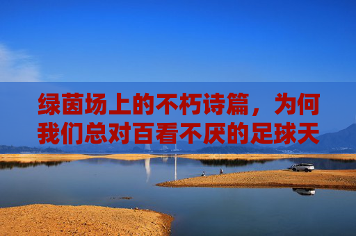 绿茵场上的不朽诗篇，为何我们总对百看不厌的足球天才心驰神往？