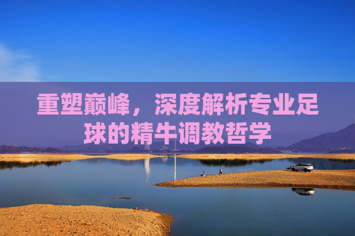 重塑巅峰，深度解析专业足球的精牛调教哲学