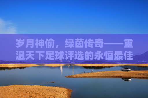 岁月神偷,绿茵传奇——重温天下足球评选的永恒最佳阵容