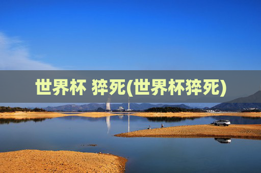 世界杯 猝死(世界杯猝死)