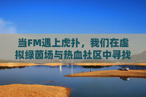 当FM遇上虎扑,我们在虚拟绿茵场与热血社区中寻找什么?