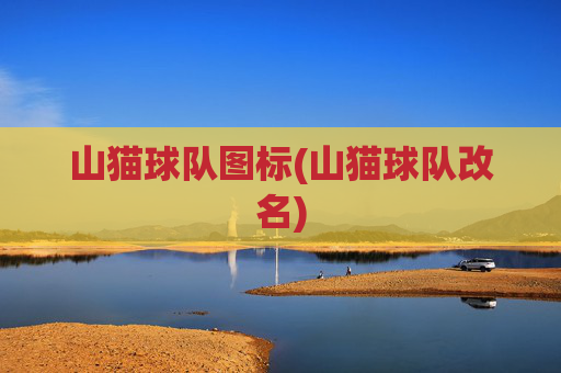 山猫球队图标(山猫球队改名)