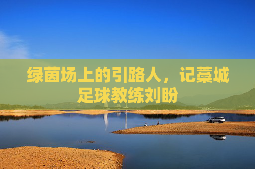 绿茵场上的引路人,记藁城足球教练刘盼
