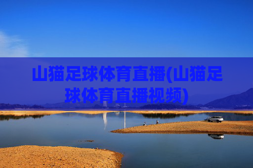山猫足球体育直播(山猫足球体育直播视频)