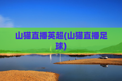 山猫直播英超(山猫直播足球)