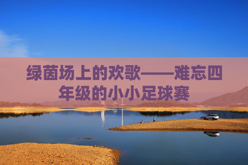 绿茵场上的欢歌——难忘四年级的小小足球赛