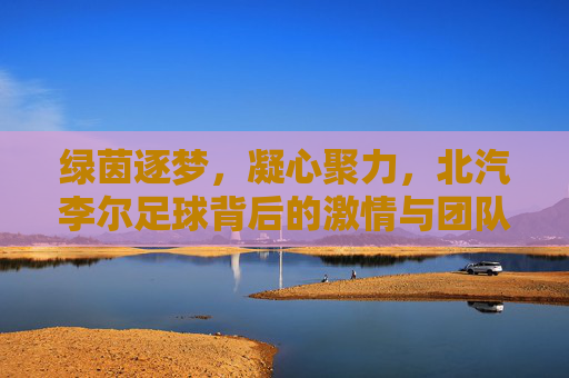 绿茵逐梦,凝心聚力,北汽李尔足球背后的激情与团队精神