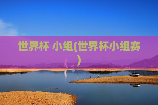 世界杯 小组(世界杯小组赛)